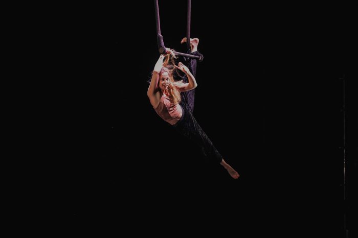 Premio CircoRED - CircoRED